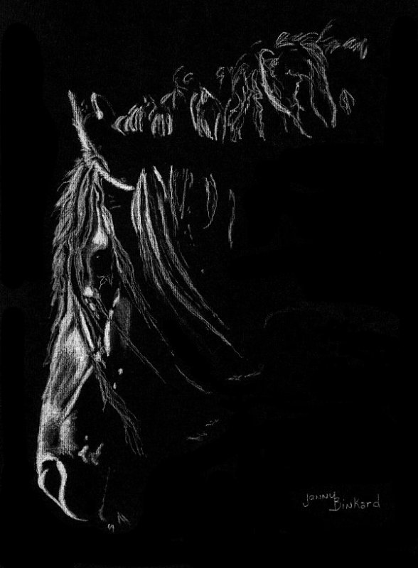 Meike - charcoal 9 x 12 used with permission from a photo by Laura Z.