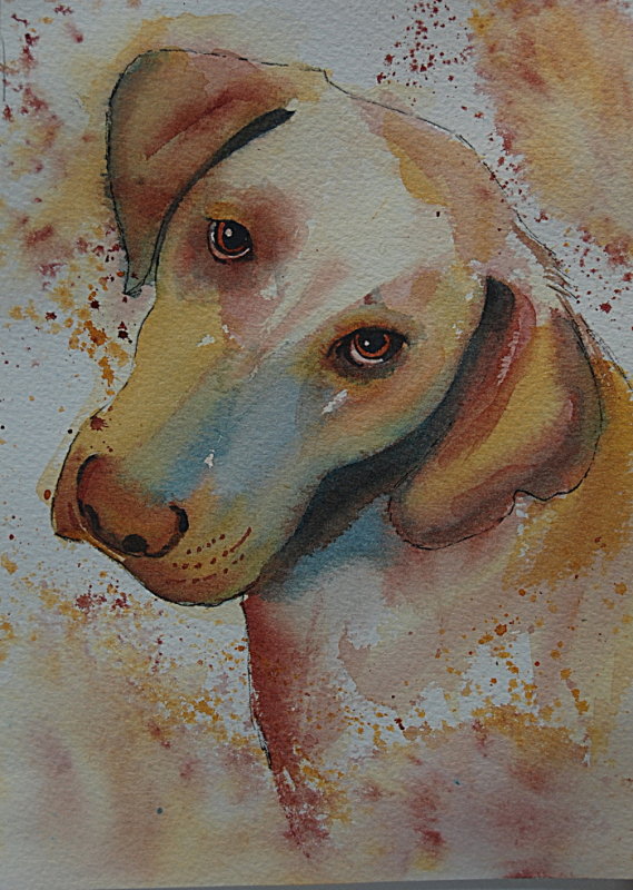 Stitch - watercolor, 6 x 8    2016
