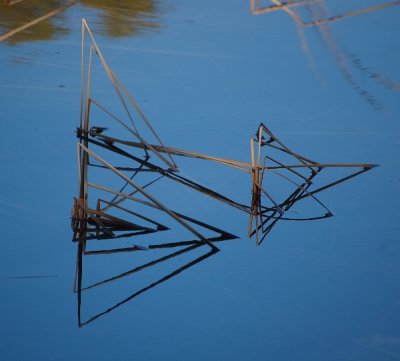 Reflections, Ponca State Park, Nebraska 10-13