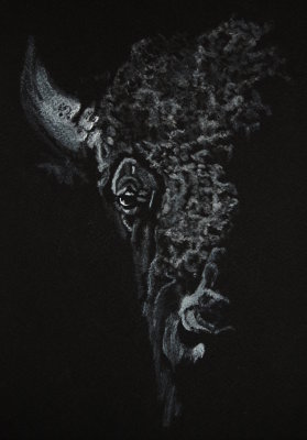 Bison - charcoal 8 x 10 photo courtesy Lawrence Splitter, 2016