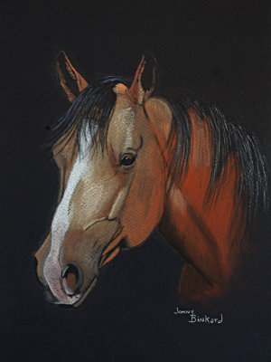 Buckskin Quarter Horse - pastel, 9 x 12        2016
