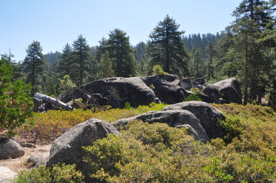 DSC_9265-001.JPG