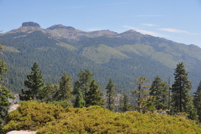DSC_9269-001.JPG
