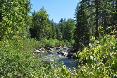 DSC_9323-001.JPG