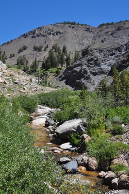 DSC_9354-001.JPG