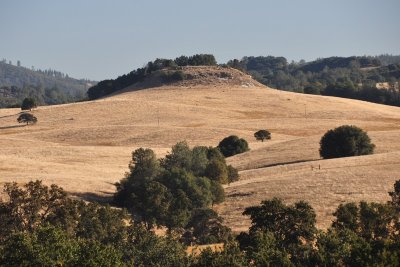 DSC_4755_tn.jpg