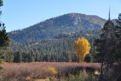 DSC_4827_tn.jpg