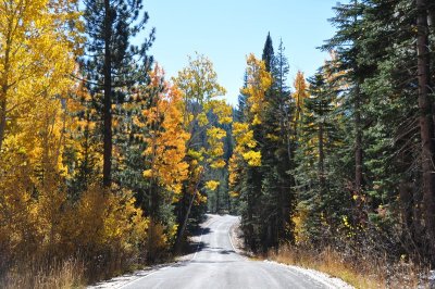DSC_4872_tn.jpg