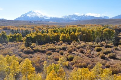 DSC_6779_tn.jpg
