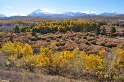 DSC_6788_tn.jpg