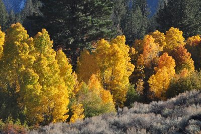 DSC_6876_tn.jpg