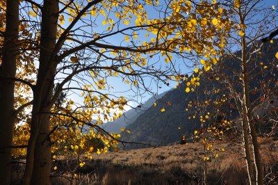 DSC_6953_tn.jpg