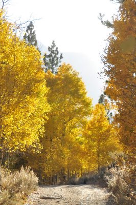 DSC_6992_tn.jpg
