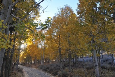 DSC_7017_tn.jpg