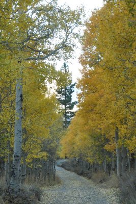 DSC_7049_tn.jpg