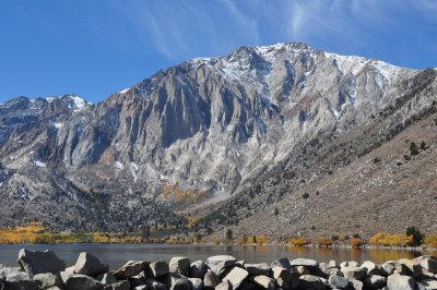 DSC_6203_tn.jpg