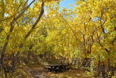 DSC_6265_tn.jpg