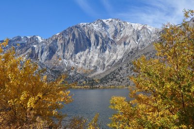 DSC_6271_tn.jpg