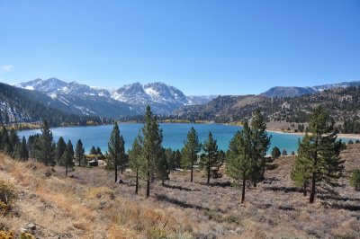 DSC_6394_tn.jpg
