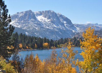 DSC_6412_tn.jpg