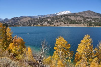 DSC_6415_tn.jpg