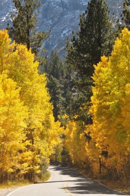 DSC_6446_tn.jpg