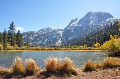 DSC_6501_tn.jpg