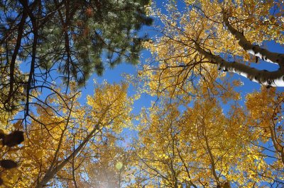 DSC_6505_tn.jpg