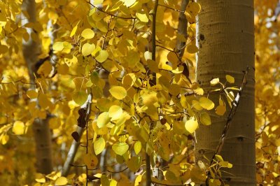 DSC_6511_tn.jpg