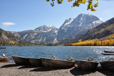 DSC_6538_tn.jpg