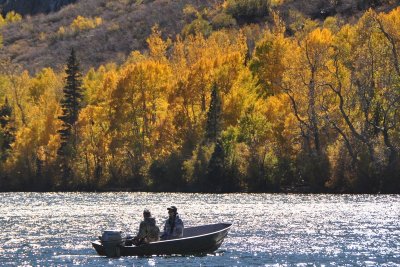 DSC_6556_tn.jpg
