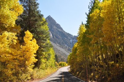 DSC_6580_tn.jpg