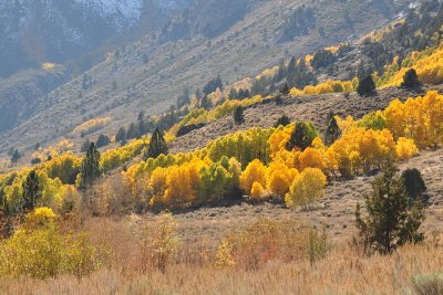 DSC_6628_tn.jpg