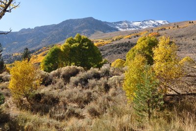 DSC_6679_tn.jpg
