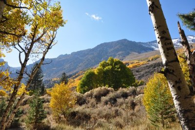 DSC_6694_tn.jpg