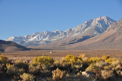 DSC_5626_tn.jpg