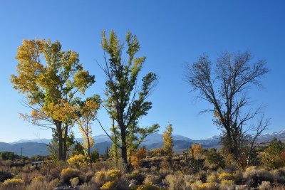 DSC_5664_tn.jpg