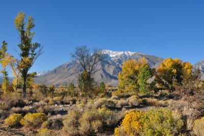 DSC_5683_tn.jpg