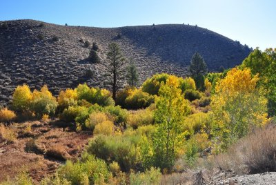 DSC_5919_tn.jpg