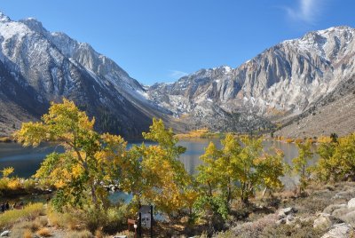 DSC_6100_tn.jpg