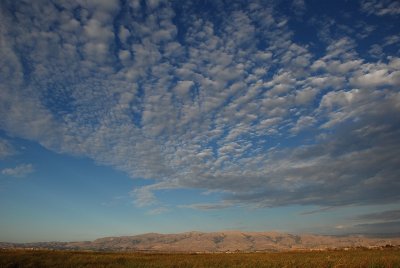 DSC_5712_1.jpg