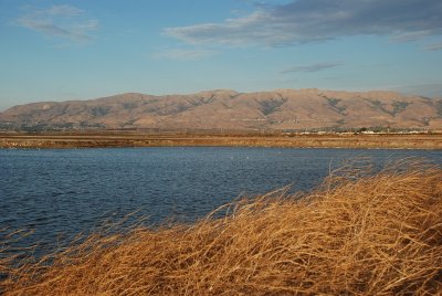 DSC_5723_1.jpg