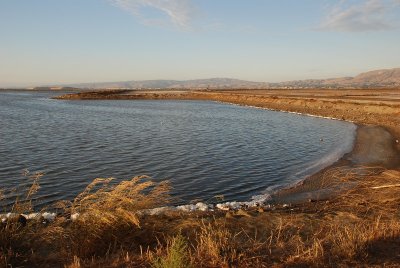 DSC_5754_1.jpg
