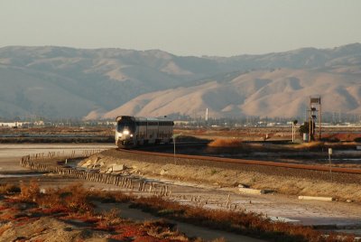 DSC_5785_1.jpg