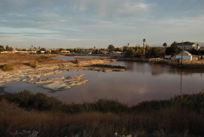 DSC_5790_1.jpg