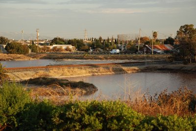 DSC_5798_1.jpg