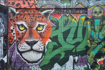 DSC_1937.JPG