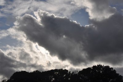 DSC_4043_1.jpg