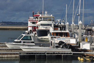 DSC_4082_1.jpg