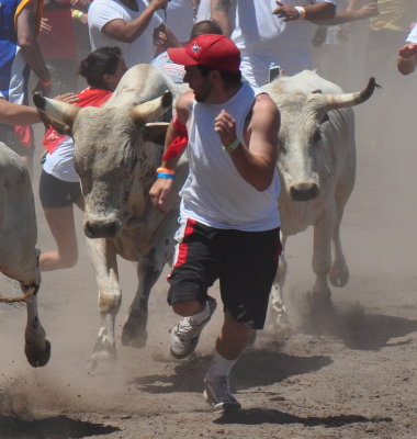 The Great Bull Run - Pleasanton, CA